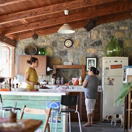 B&B Casa Dei Nonni Scario Luaran gambar